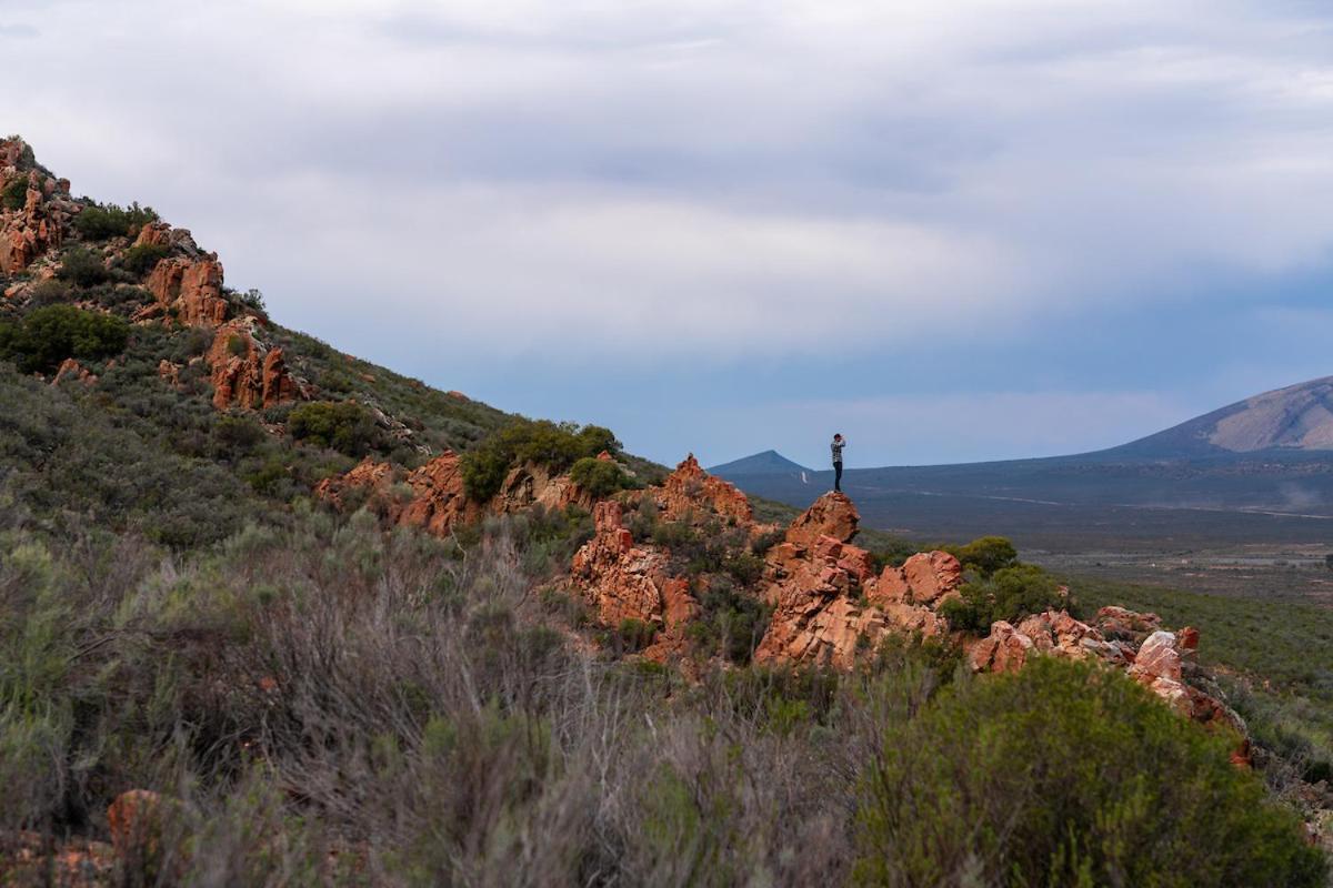 Gecko Rock Private Nature Reserve Goedgemoed Εξωτερικό φωτογραφία